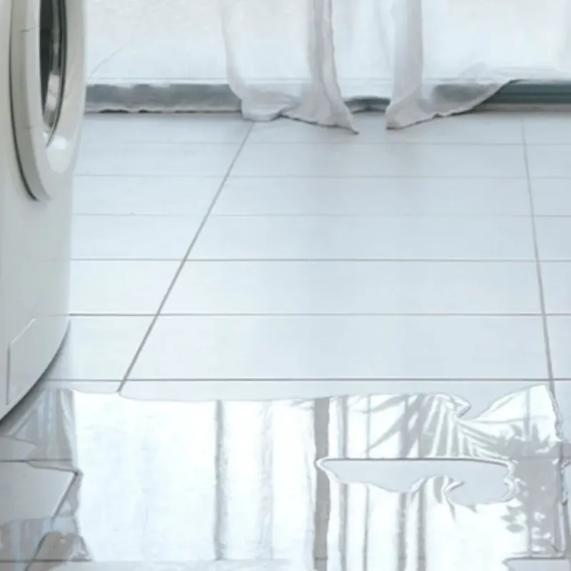 Appliance Leak Cleanup in Bedford County, TN