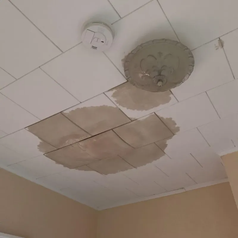 Ceiling Water Damage Repair in Bedford County, TN