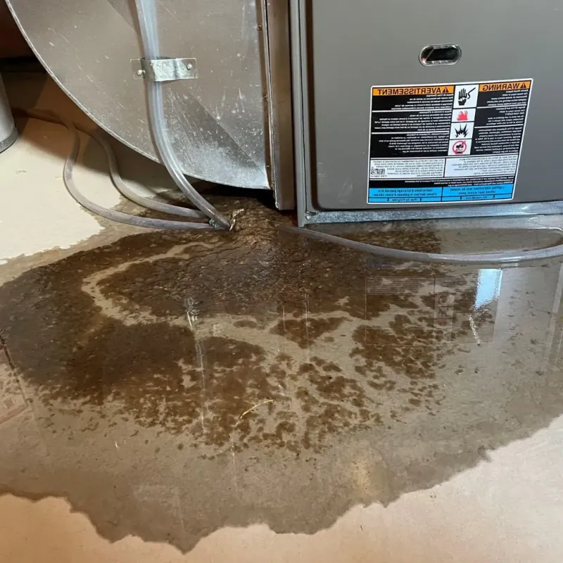 Pipe Burst and Leak Restoration in Bedford County, TN
