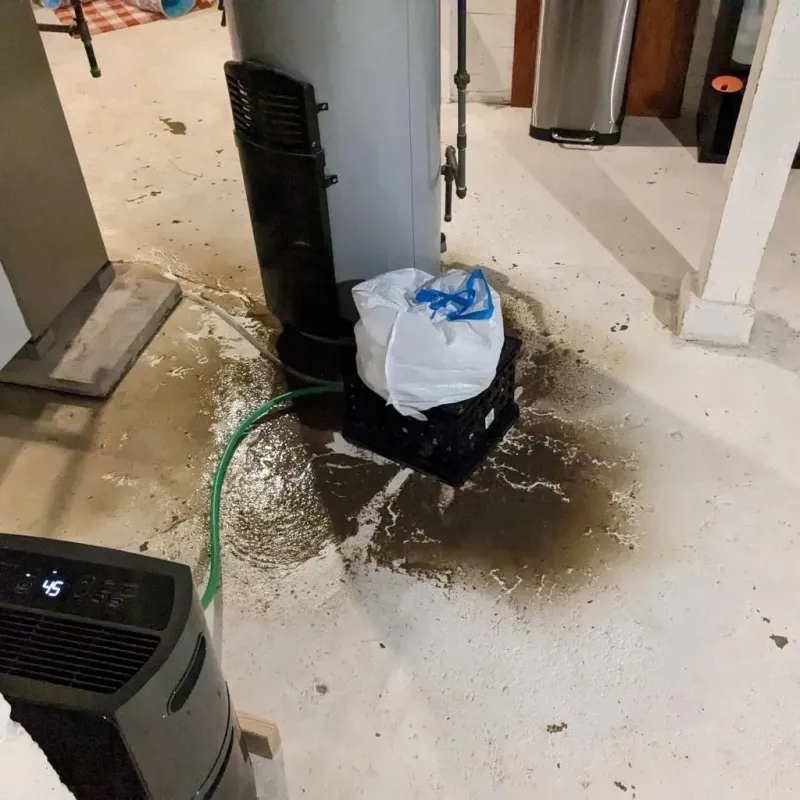 Sewage Backup Cleanup Service in Bedford County, TN